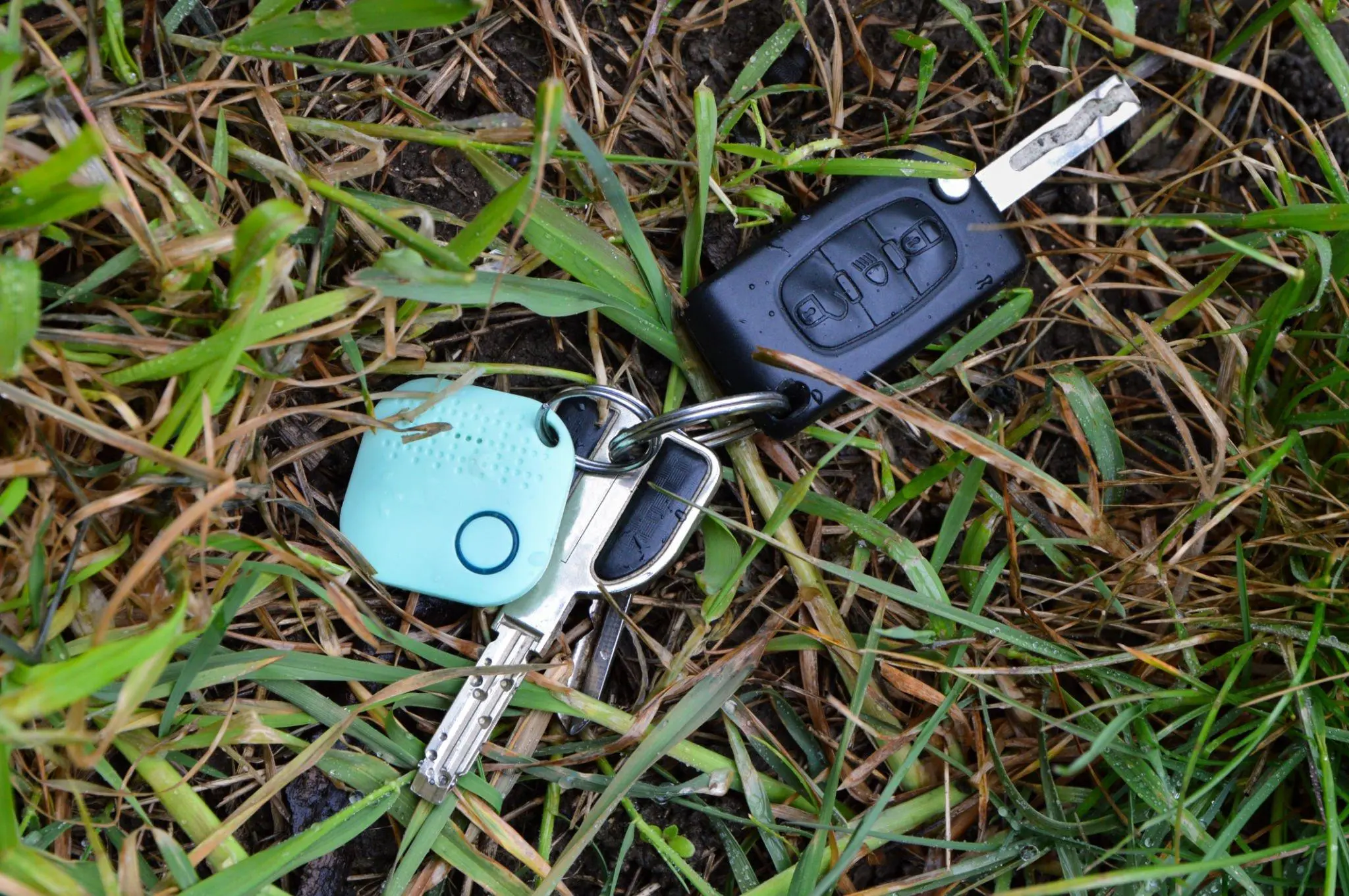 What To Do If You Lost Your Car Keys..